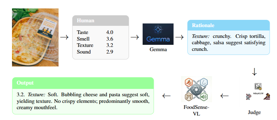 FoodSense-VL two-stage training pipeline